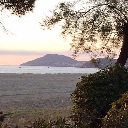 2 chambres, Résidence avec Piscine, 100 mètres de la mer Argelès-sur-Mer Esterno foto