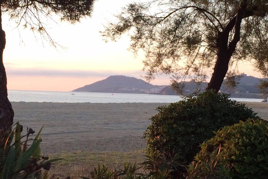 2 chambres, Résidence avec Piscine, 100 mètres de la mer Argelès-sur-Mer Esterno foto